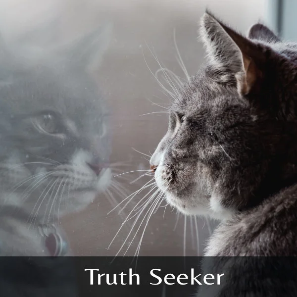 TruthSeeker