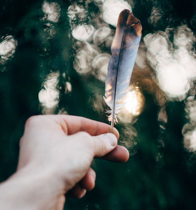 Fernando-lavin-bot3mtgTUI8-unsplash